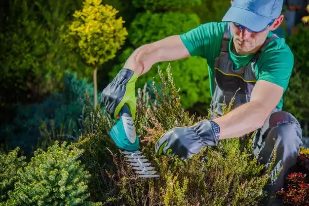 landscaping services Kinder